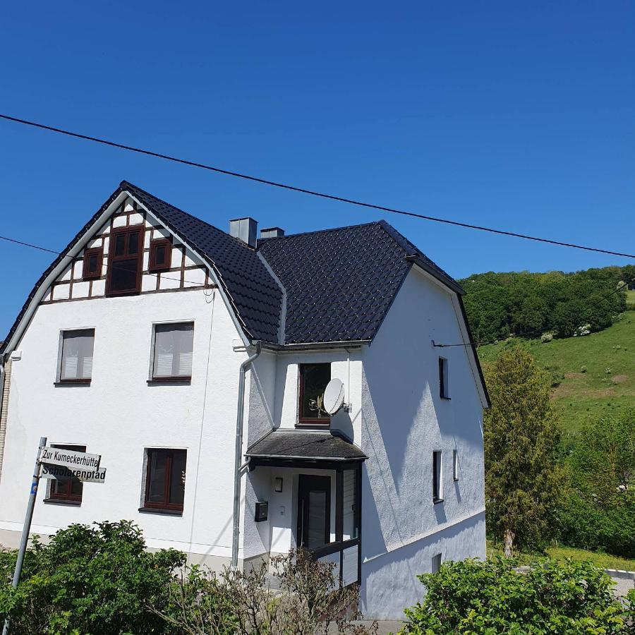 Ferienwohnung Schmidt Брілон Екстер'єр фото